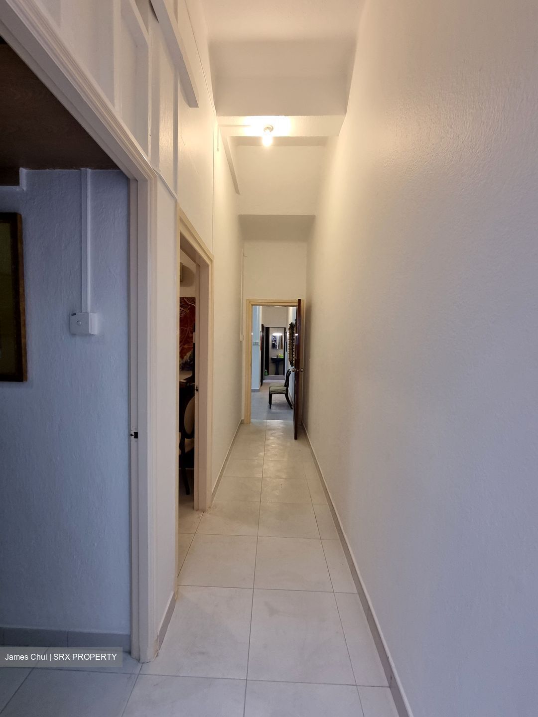 Tiong Bahru Estate (D3), Apartment #358105771